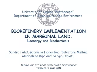 BIOREFINERY IMPLEMENTATION  IN MARGINAL LAND. Bioenergy and Biochemicals.