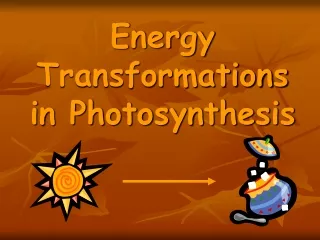 Energy Transformations in Photosynthesis