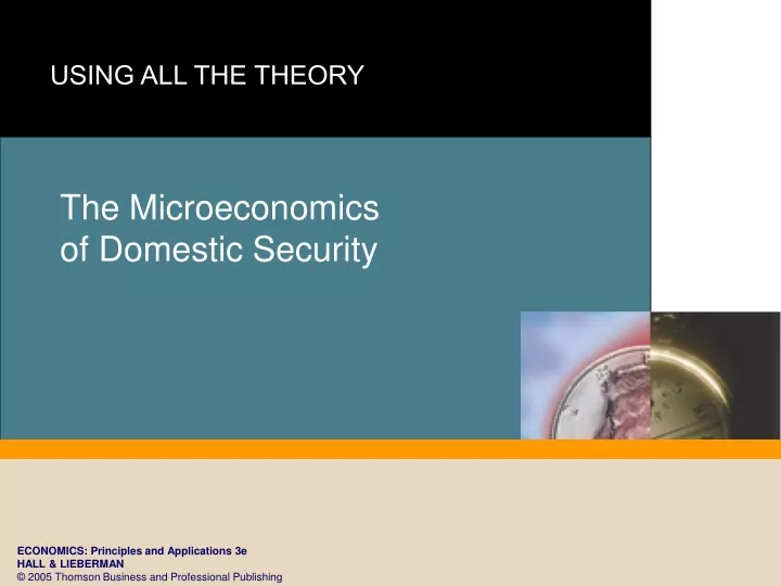 the microeconomics of domestic security
