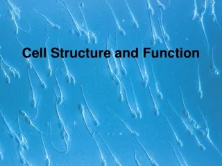 Cell Structure and Function