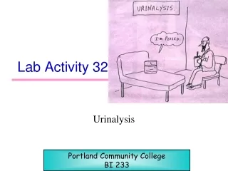 Lab Activity 32
