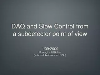DAQ and Slow Control from a subdetector point of view