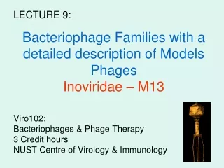 Bacteriophage Families with a detailed description of Models Phages Inoviridae – M13