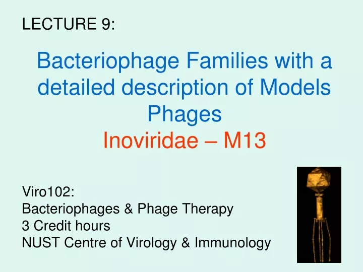 bacteriophage families with a detailed description of models phages inoviridae m13