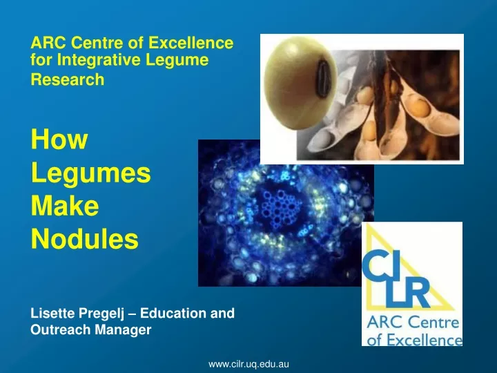 arc centre of excellence for integrative legume