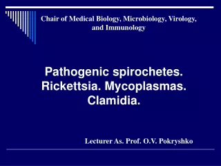 Pathogenic spirochetes. Rickettsia. Mycoplasmas. Clamidia.
