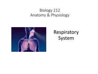 Biology 212 Anatomy &amp; Physiology