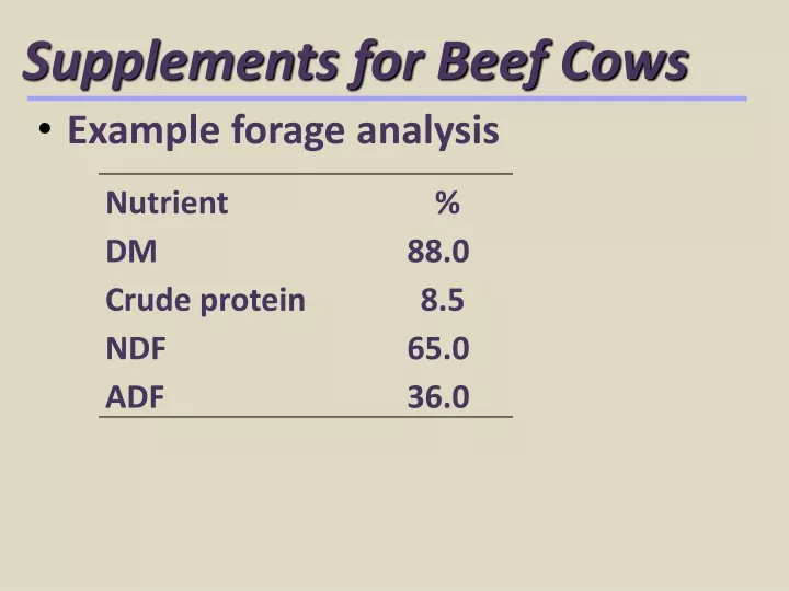 supplements for beef cows