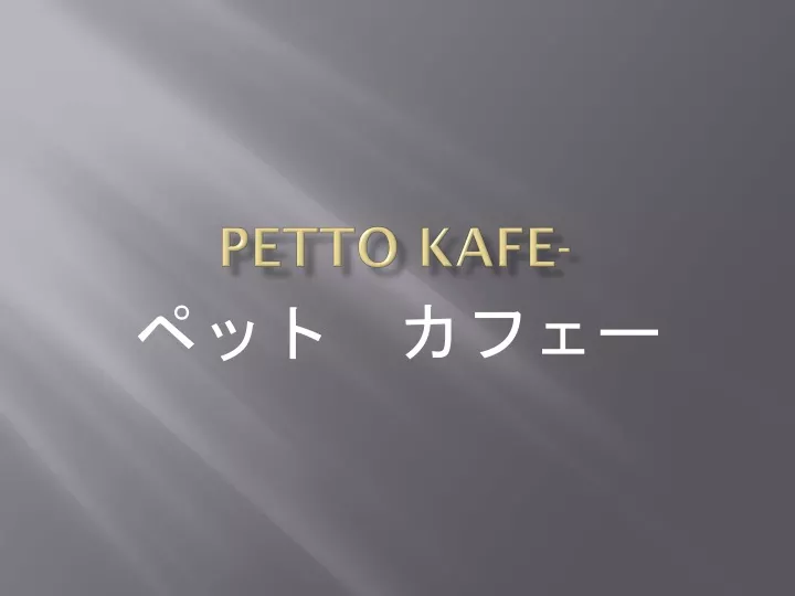 petto kafe