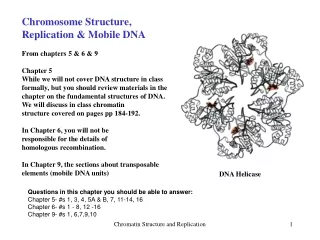 Chromosome Structure, Replication &amp; Mobile DNA From chapters 5 &amp; 6 &amp; 9 Chapter 5