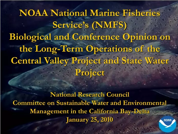 noaa national marine fisheries service s nmfs