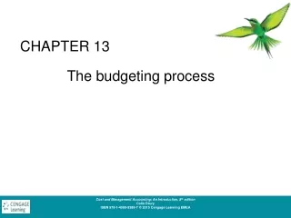 The budgeting process