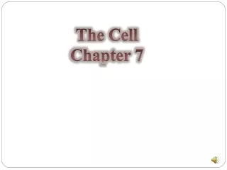 The Cell Chapter 7