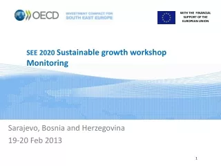SEE 2020  Sustainable growth workshop Monitoring