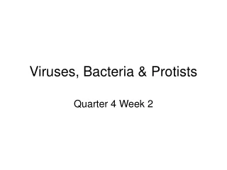 Viruses, Bacteria &amp; Protists