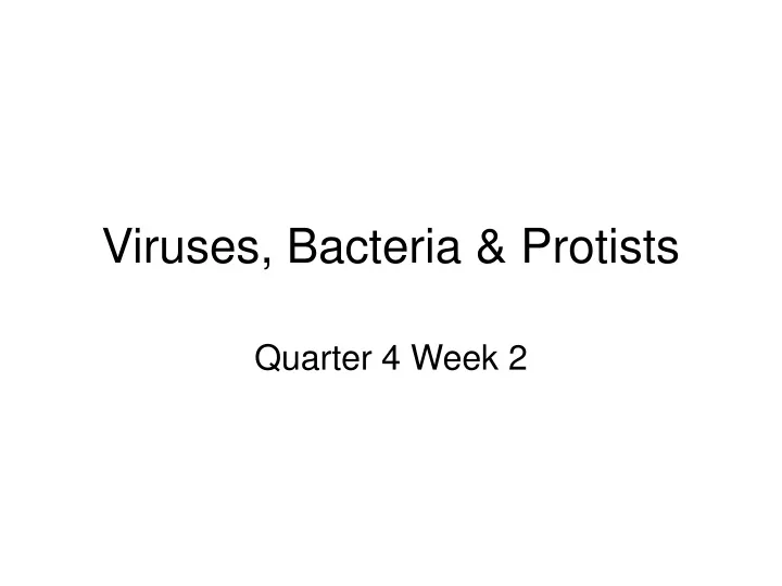 viruses bacteria protists