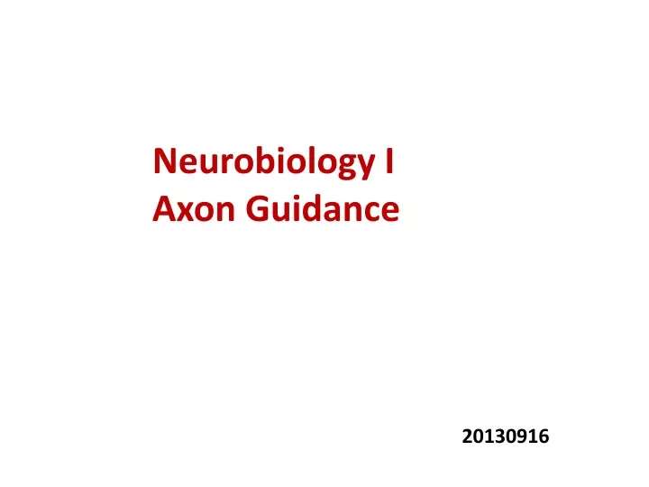 neurobiology i axon guidance