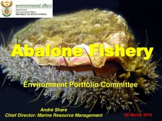 Environment Portfolio Committee
