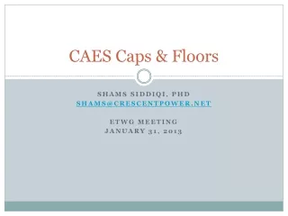 CAES Caps &amp; Floors