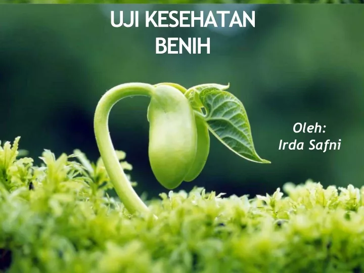 uji kesehatan benih