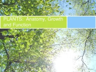 PLANTS:  Anatomy, Growth and Function