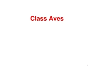 Class Aves