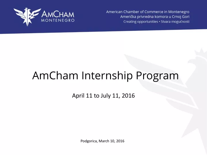 amcham internship program