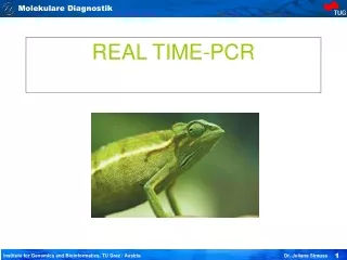 REAL TIME-PCR