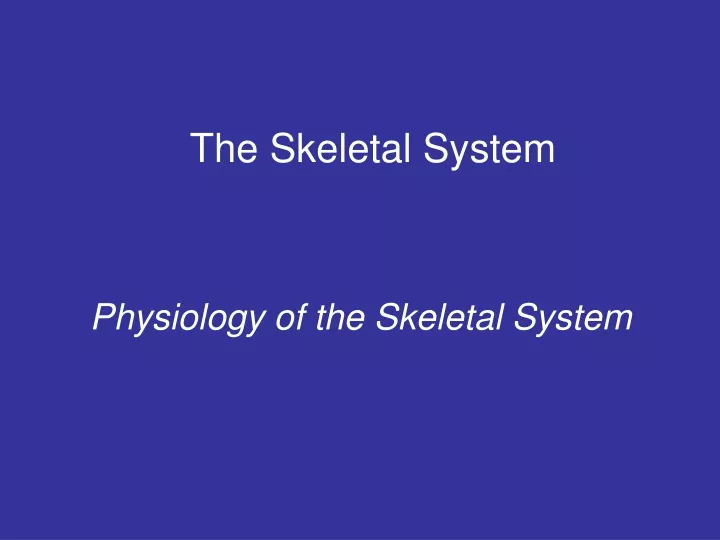 the skeletal system