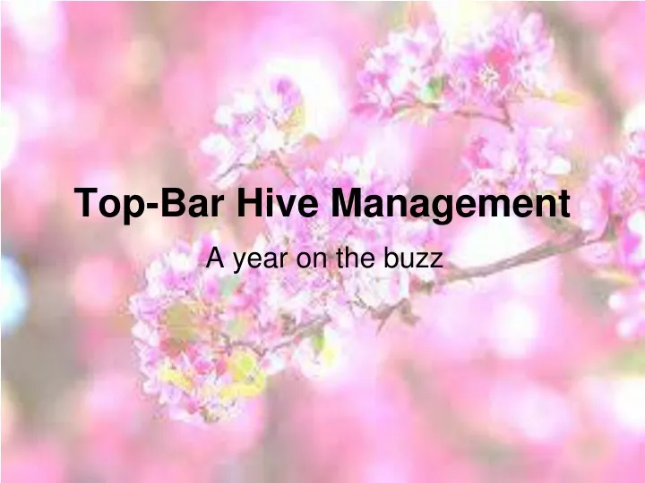 top bar hive management