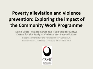 Poverty alleviation and violence prevention: Exploring the impact of the Community Work Programme