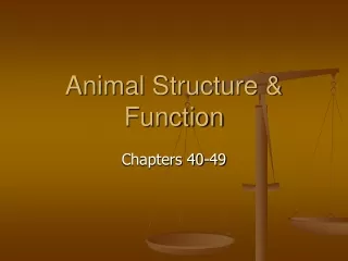 Animal Structure &amp; Function