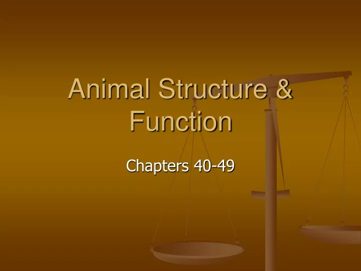 animal structure function