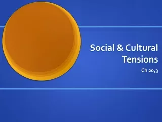Social &amp; Cultural Tensions