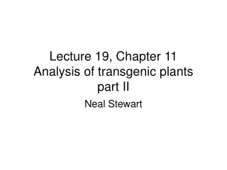 Lecture 19, Chapter 11 Analysis of transgenic plants part II