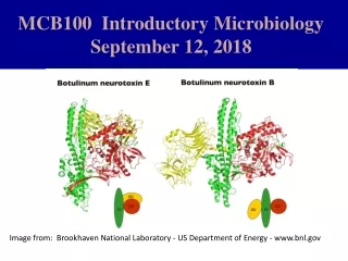 MCB100  Introductory Microbiology                   September 12, 2018