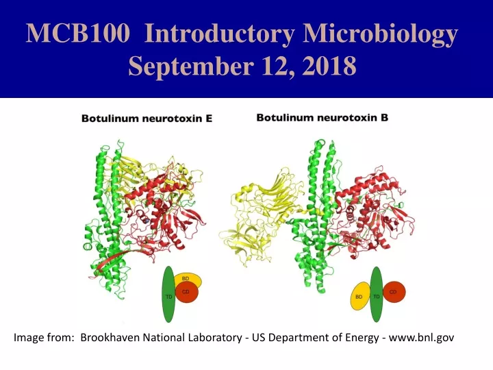 mcb100 introductory microbiology september 12 2018