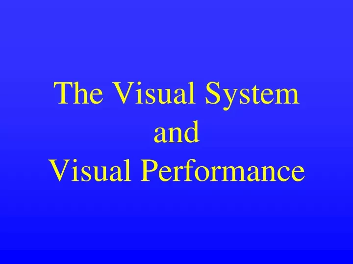 the visual system and visual performance