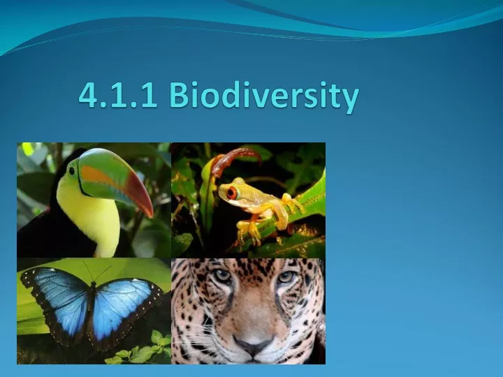 4 1 1 biodiversity