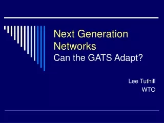 Next Generation Networks Can the GATS Adapt?
