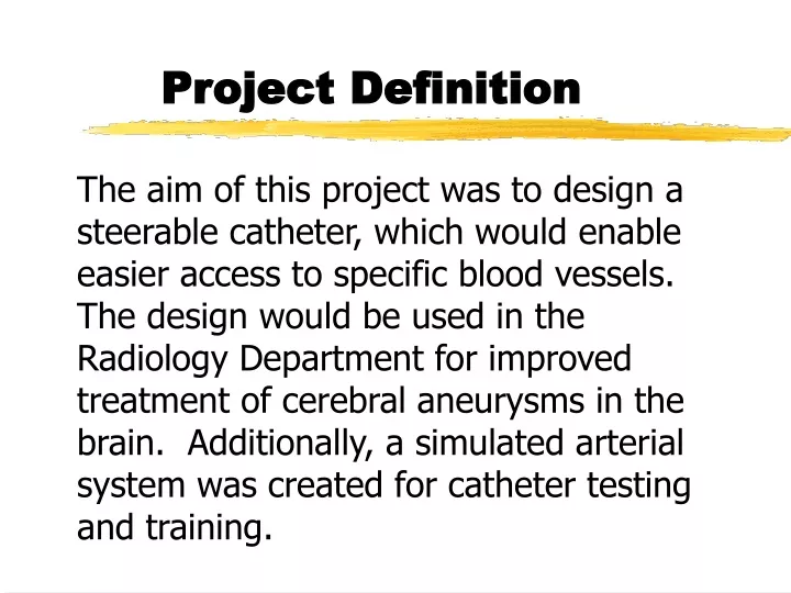 project definition