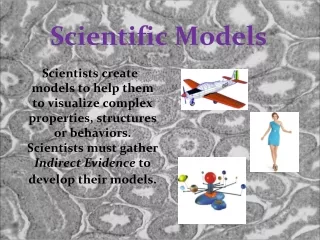 Scientific Models