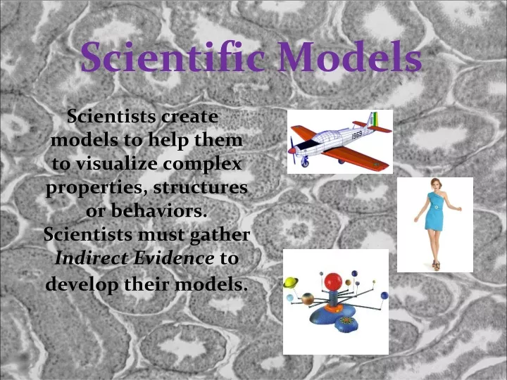 scientific models