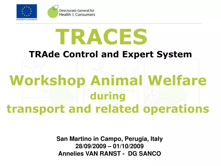 traces trade control and expert system