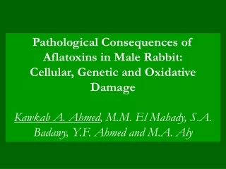 Pathological Consequences of Aflatoxins in Male Rabbit: Cellular, Genetic and Oxidative Damage