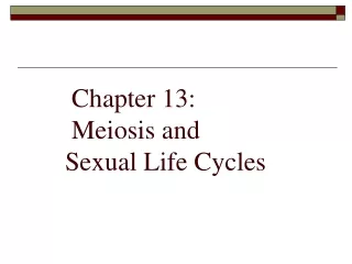 Chapter 13:  Meiosis and  Sexual Life Cycles
