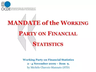 MANDATE  of the  Working Party on Financial Statistics