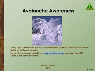 Avalanche Awareness