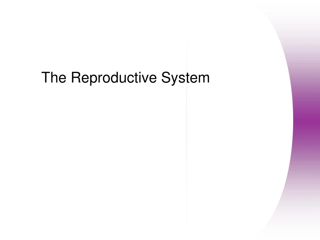 PPT - The Reproductive System PowerPoint Presentation, free download ...