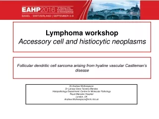 Lymphoma workshop Accessory cell and histiocytic neoplasms